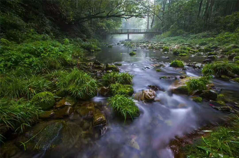 探索张家界美景——旅行秘境的探险之旅